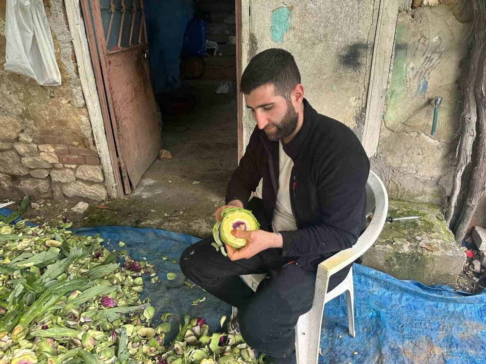 Enginar soyarak ayda 240 bin lira kazanıyor