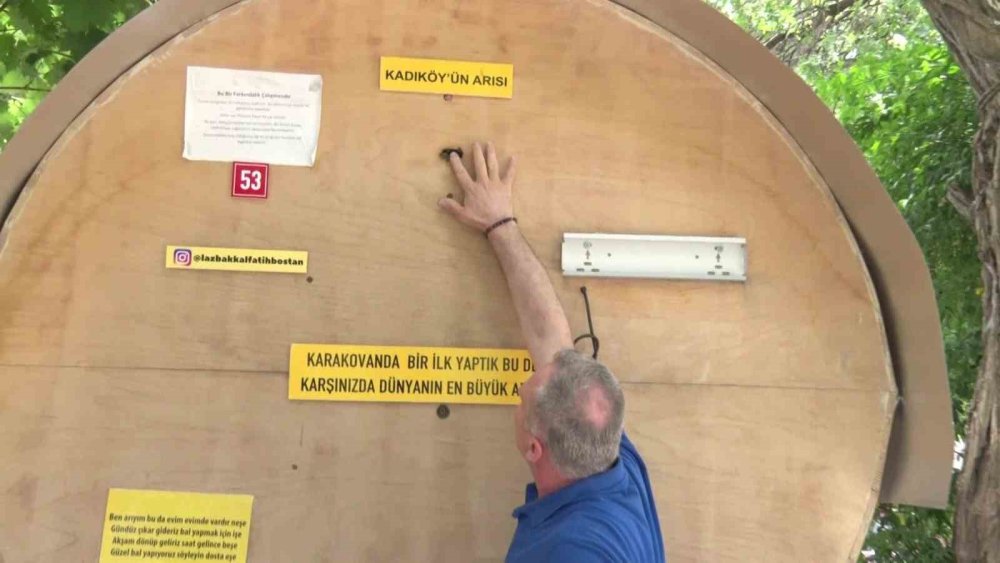Bakkal Dükkanında Arıcılık: Laz Bakkal Dünyanın En Büyük Kovanını İnşa Etti