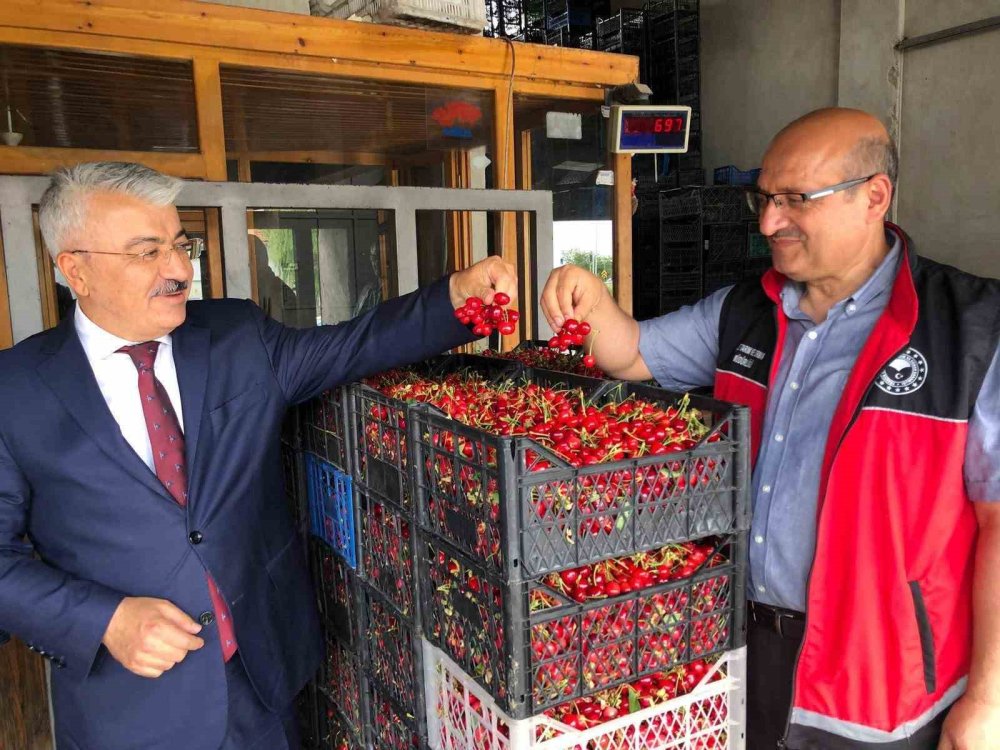 Akşehir Kirazı İçin Sezon Öncesi Kritik İnceleme