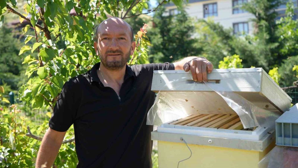 'Arılara Fısıldayan Adam' Görenleri Hayrete Düşürüyor