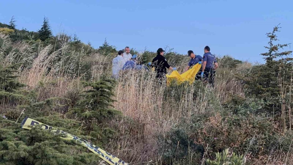 1 hafta önce ölmüş! Kocaeli'de yol kenarında cesedi bulundu