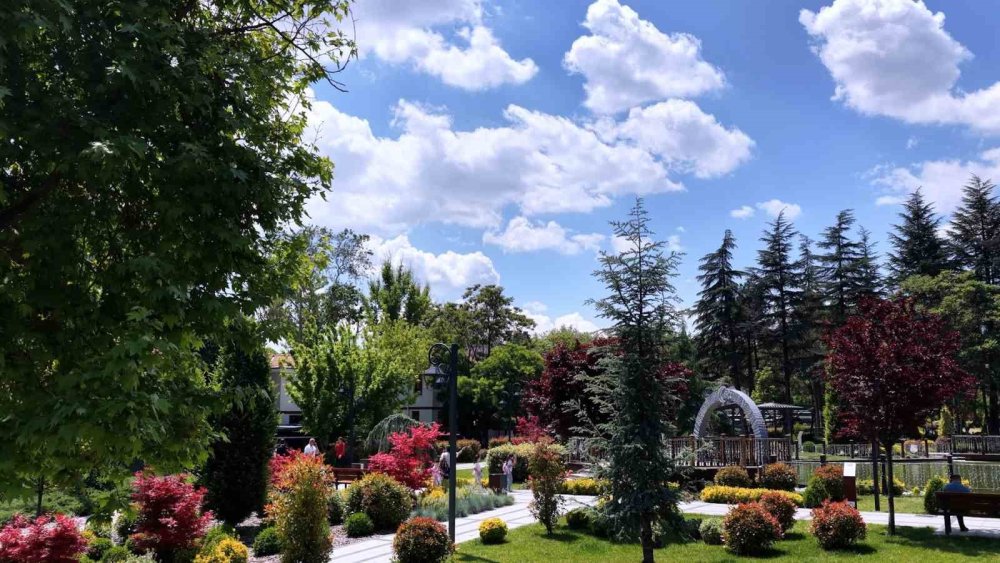Ankara'ya yeni cazibe merkezi! Giden hayran kalıyor