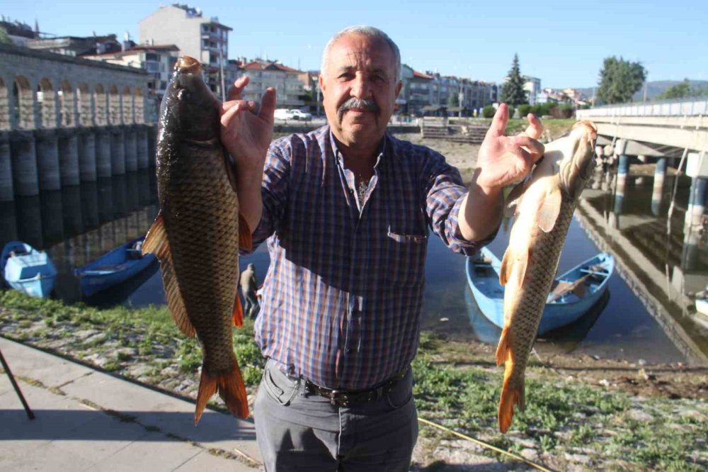 Beyşehir Gölü'nde Balık Bereketi Tezgahları Şenlendirdi