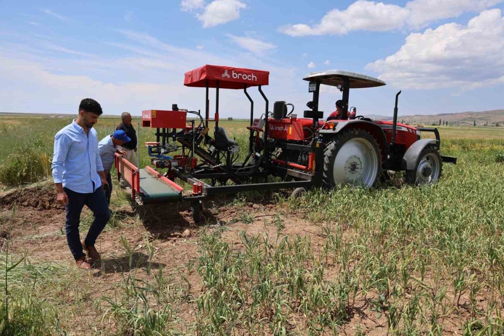 İspanyol Devi Aksaray’a Geldi: Sarımsakta Dünya Markası Oluyor