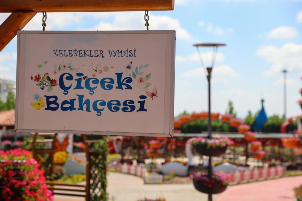 Konya'nın çiçek bahçesi kapılarını açtı! 385 bin çiçek var