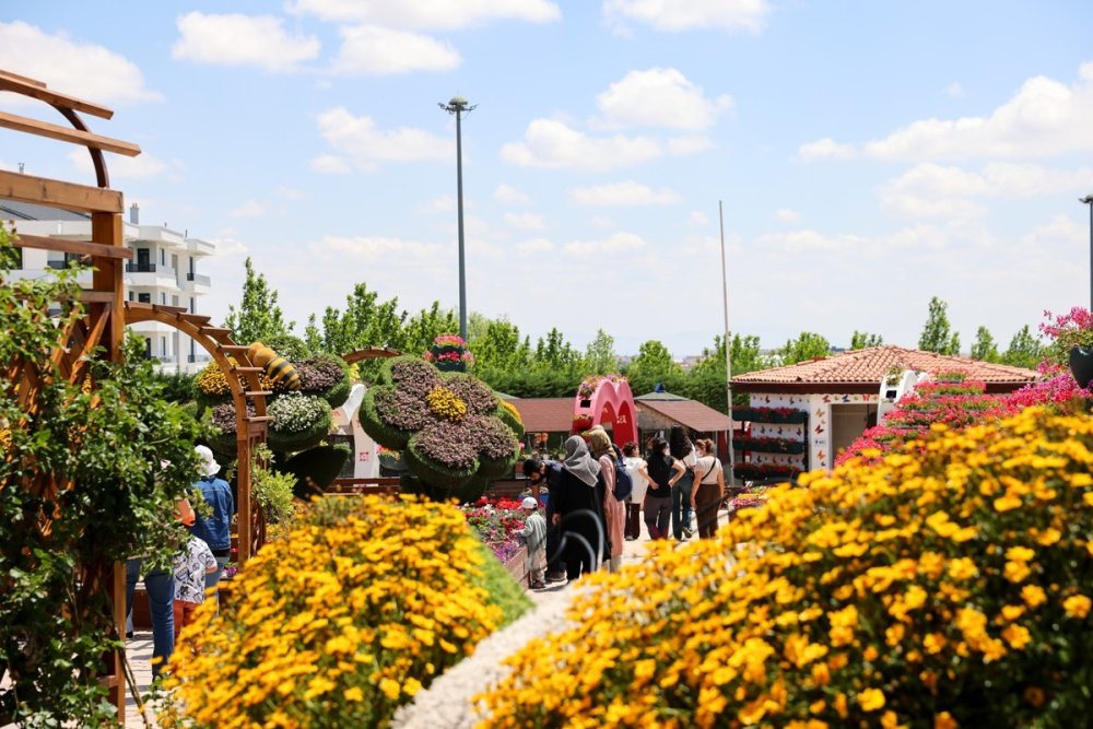 Konya'nın çiçek bahçesi kapılarını açtı! 385 bin çiçek var
