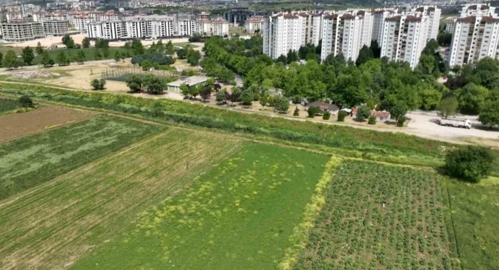 Lüks Konutların Arasında Kalan Hasanağa'da Tarım Savaşı