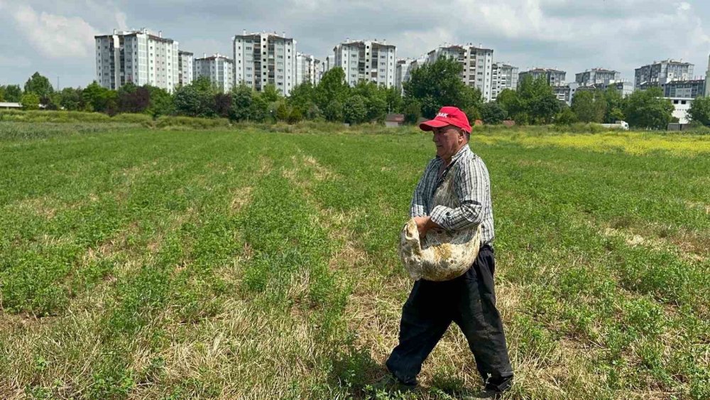 Lüks Konutların Arasında Kalan Hasanağa'da Tarım Savaşı
