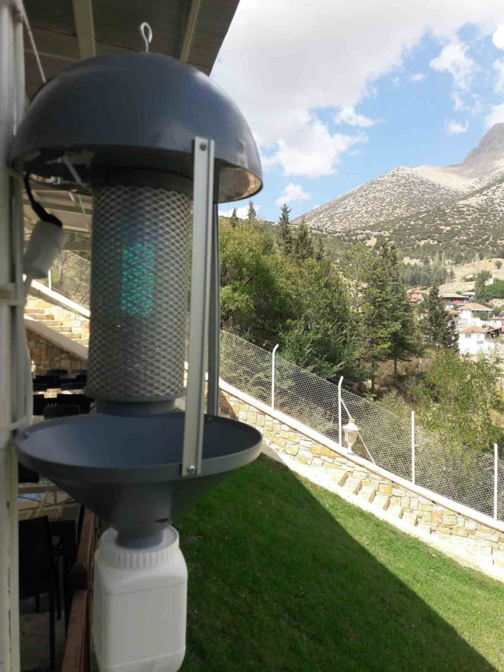 Antalya'nın seralarına kesin çözüm! İlaca gerek yok