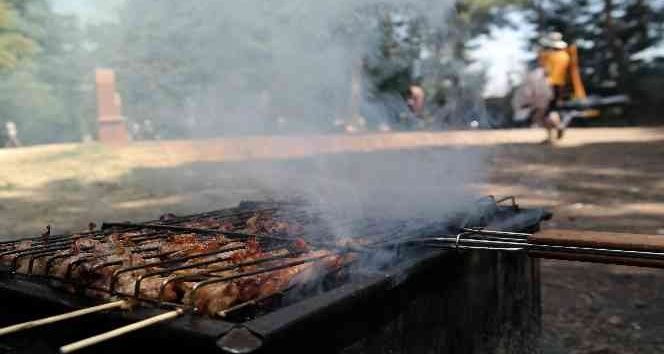 mangal.jpg