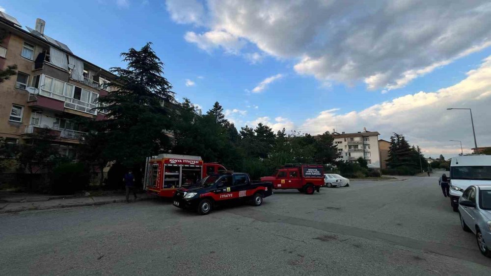 Seydişehir'de 9 Saatlik Kurtarma Operasyonu: Duvar Arasında Mahsur Kalan Kedi Özgürlüğüne Kavuştu