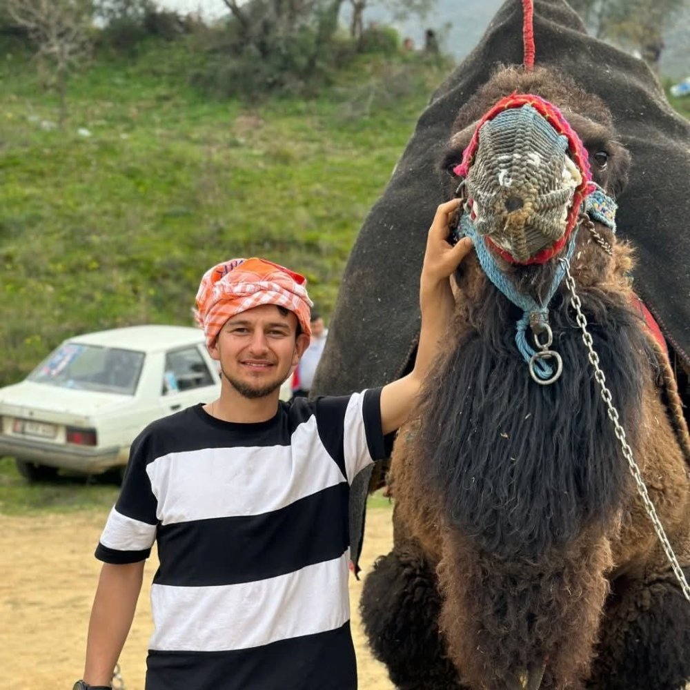 Köpeğe çarpmamak için canını verdi