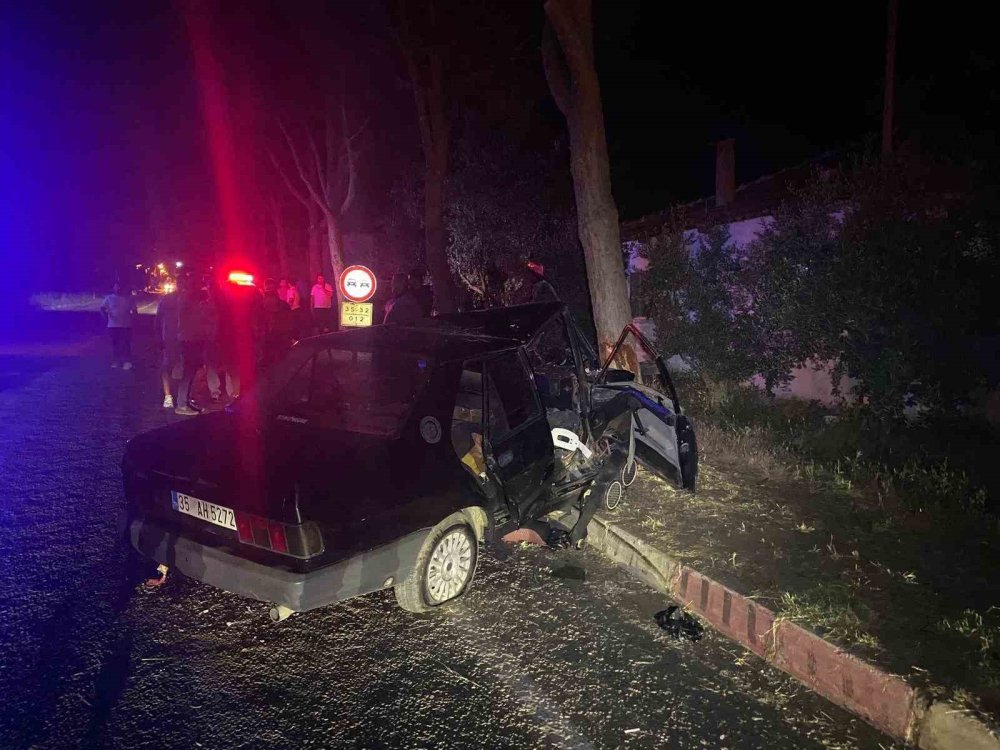 Köpeğe çarpmamak için canını verdi