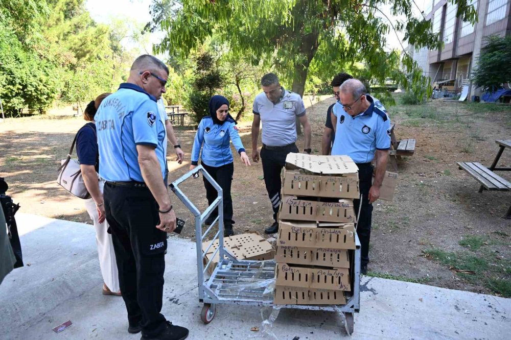 Otogarda Canlı Hayvan Operasyonu: 700 Civcive El Konuldu