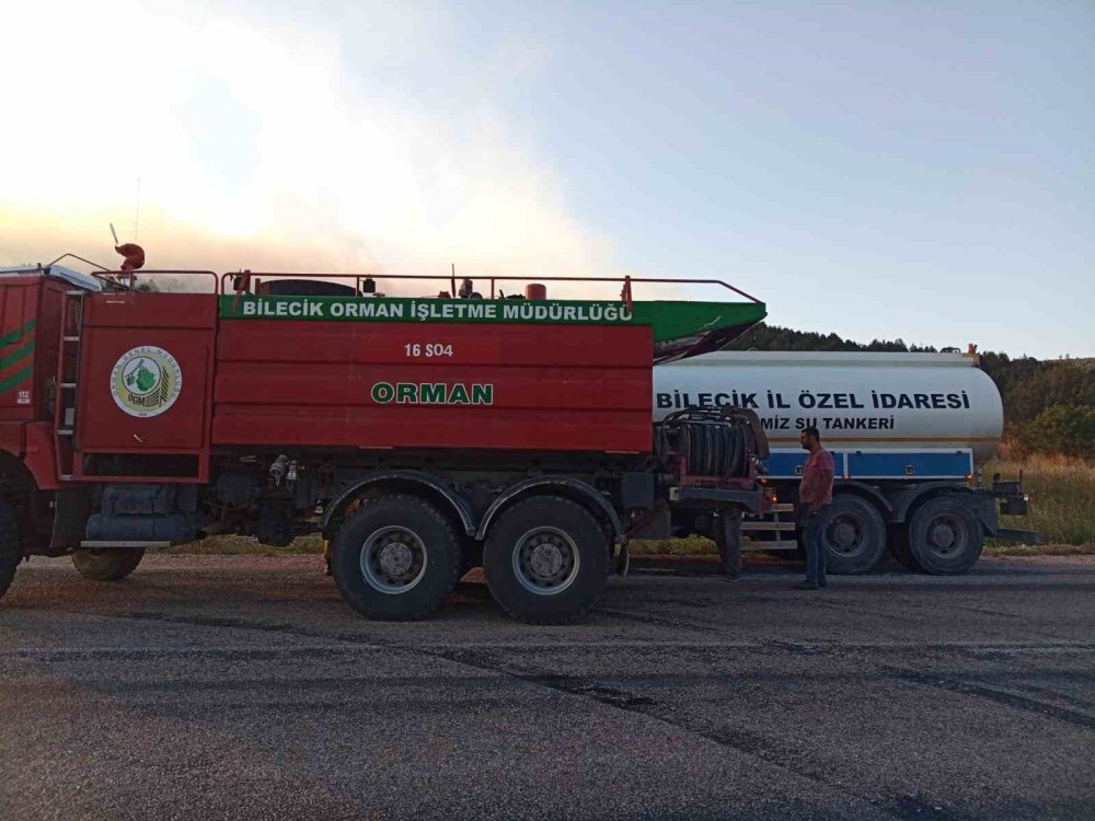 Bilecik'te anız ormanı yaktı