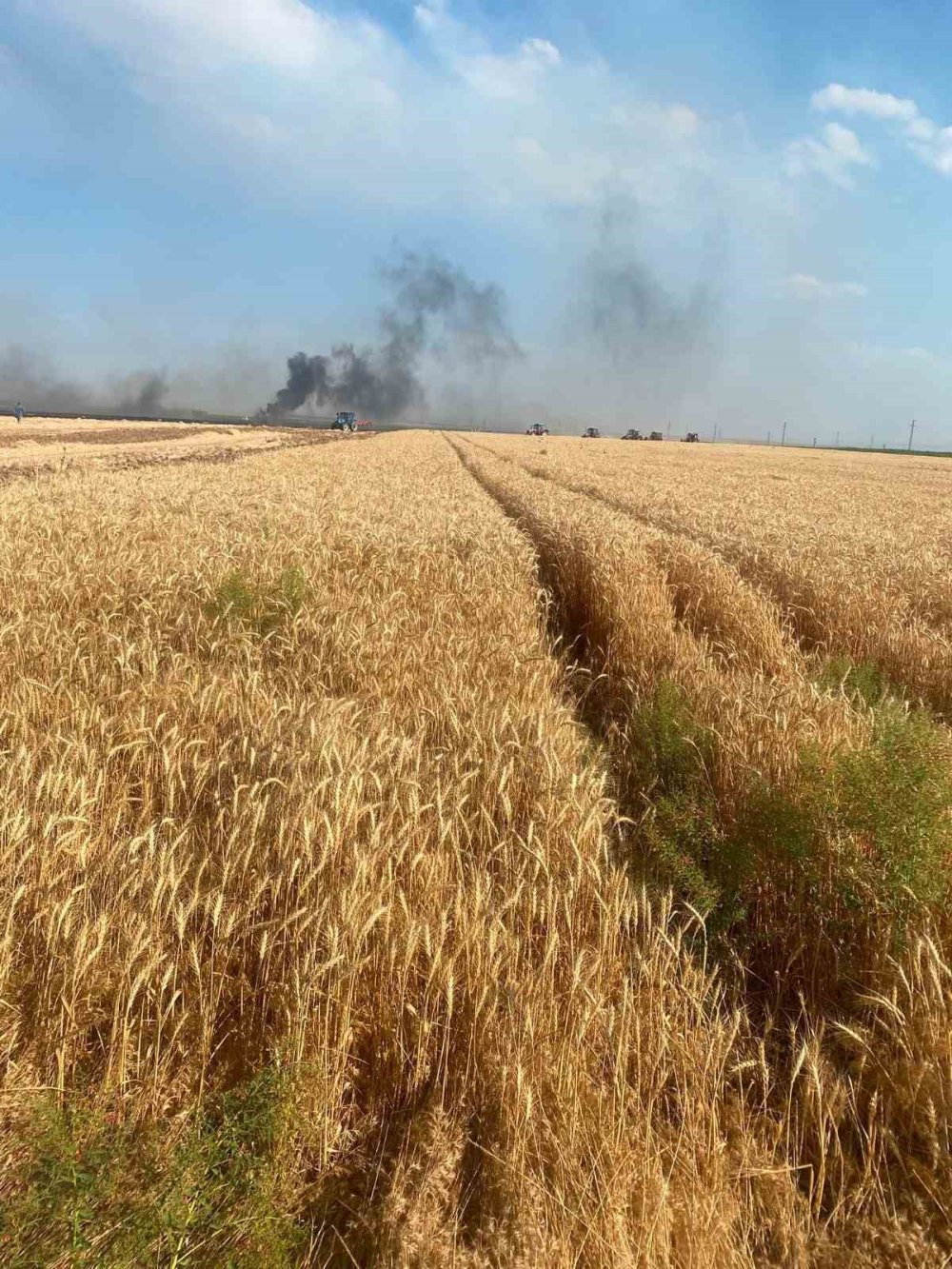 Konya’da Trafo Faciası: Bir Kıvılcım 500 Dekarı Yuttu