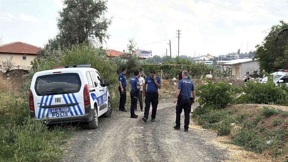 Kuru otlar tutuştu, alevler geniş alana yayıldı