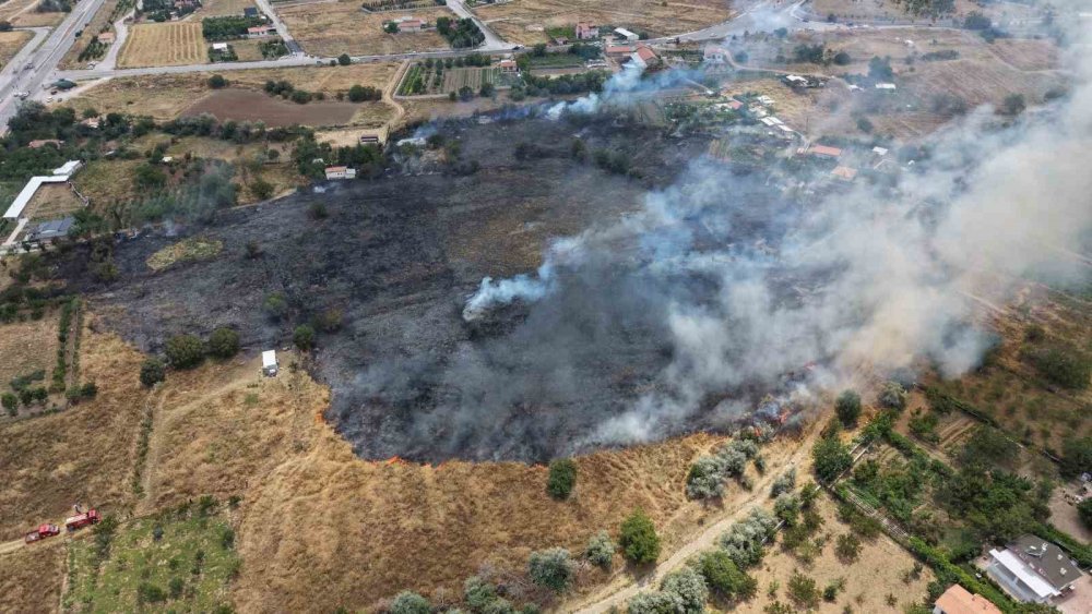 Kuru otlar tutuştu, alevler geniş alana yayıldı