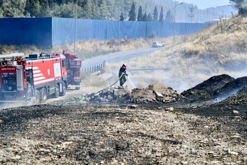 İtfaiye ekipleri bukalemunu hayata döndürdü