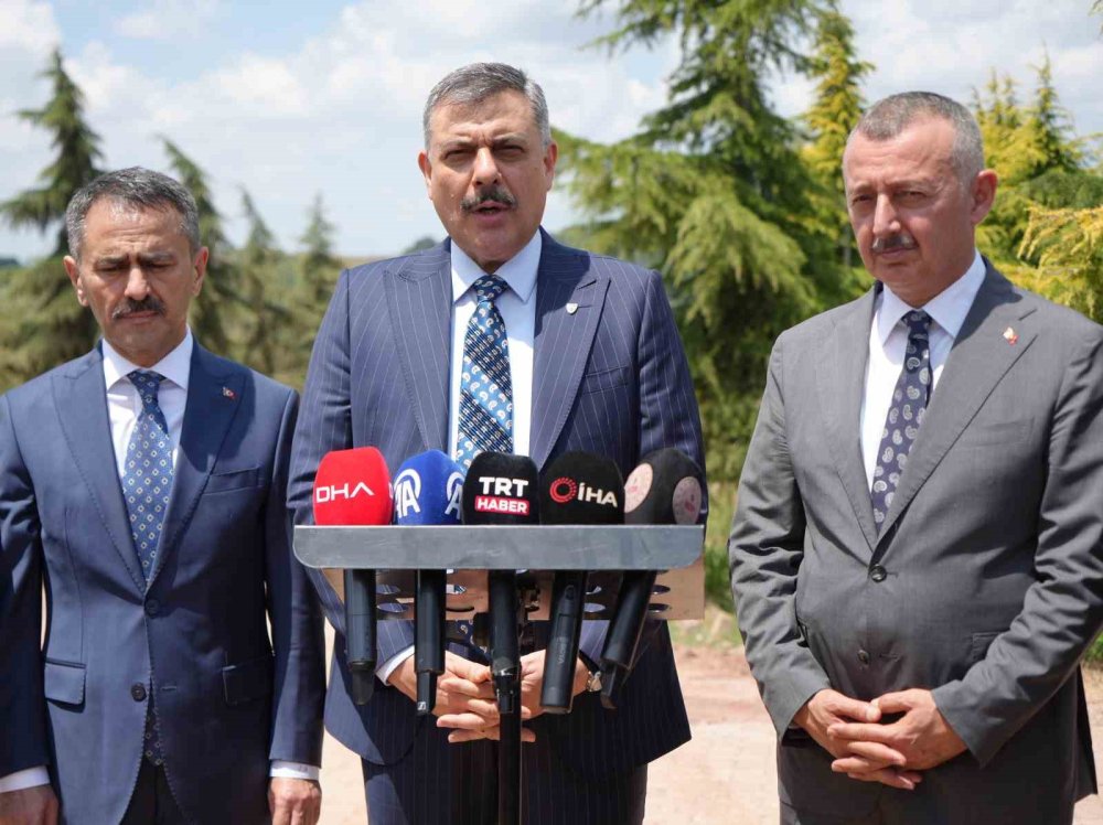 Bakan Çiftçi: Türkiye'de Sahipsiz Sokak Hayvanlarının %92,35'i Artık Barınaklarda
