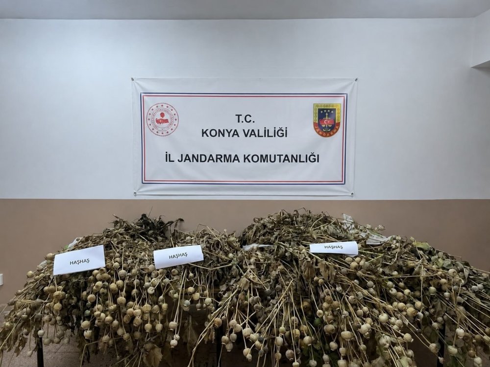 Konya'da Uyuşturucuya Ağır Darbe: 50 Bin Kök Kenevir Ele Geçirildi, 5 Kişi Tutuklandı