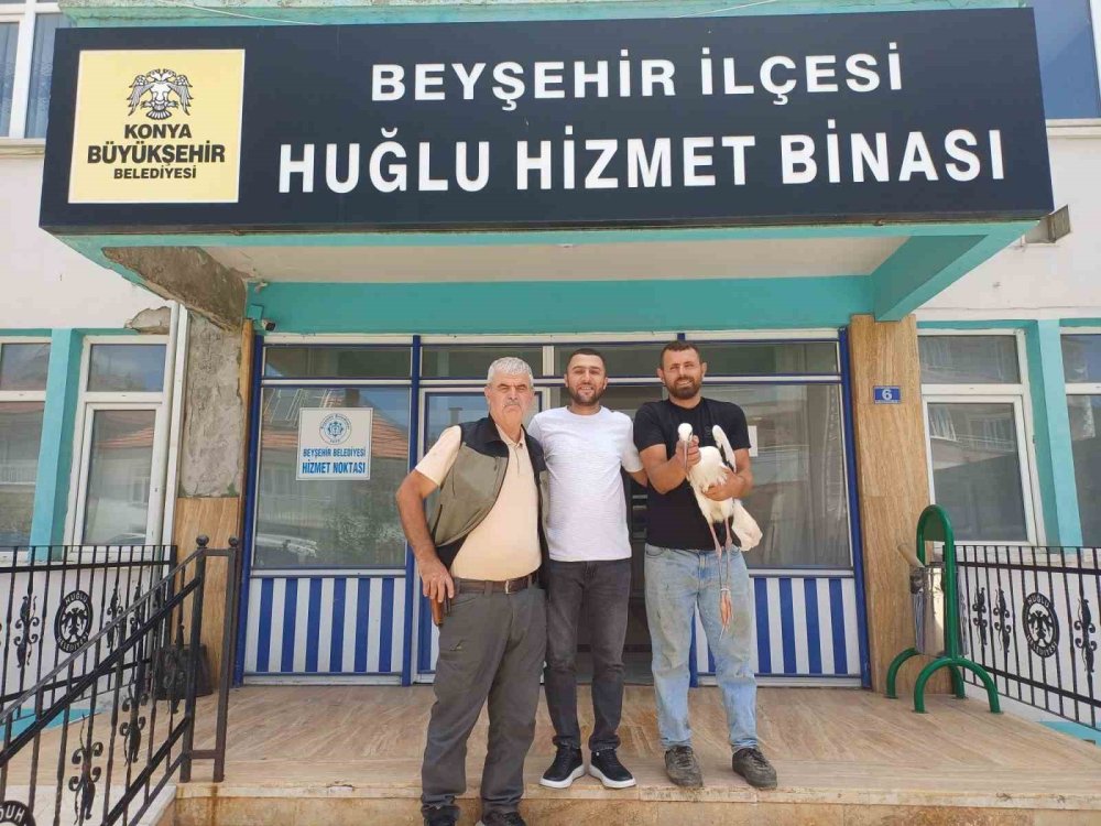 Konya'da Yaralı Leylek İçin Seferberlik! Mahalle Tek Yürek Oldu