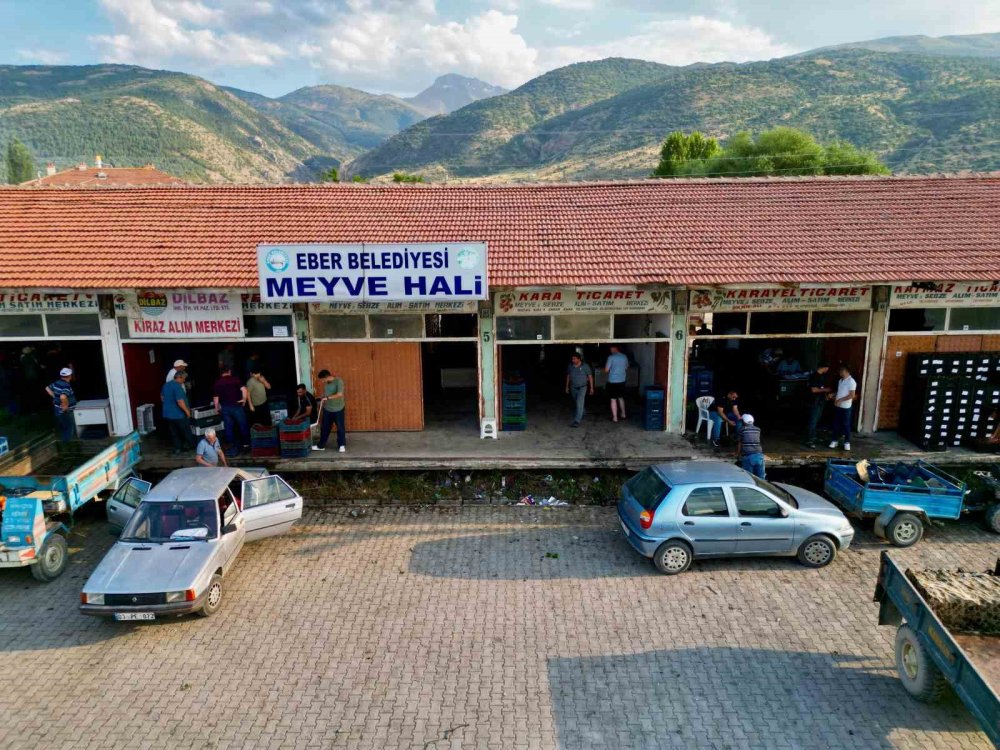 Napolyon kirazda bereket yaşanıyor