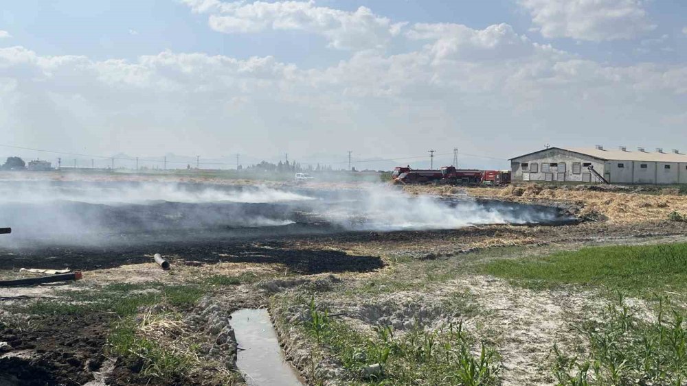 Karga direğe çarptı, yangın çıktı