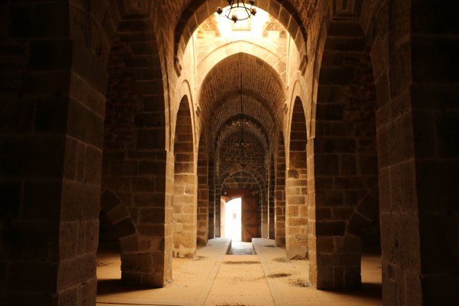 zazadin-hani-9.jpg