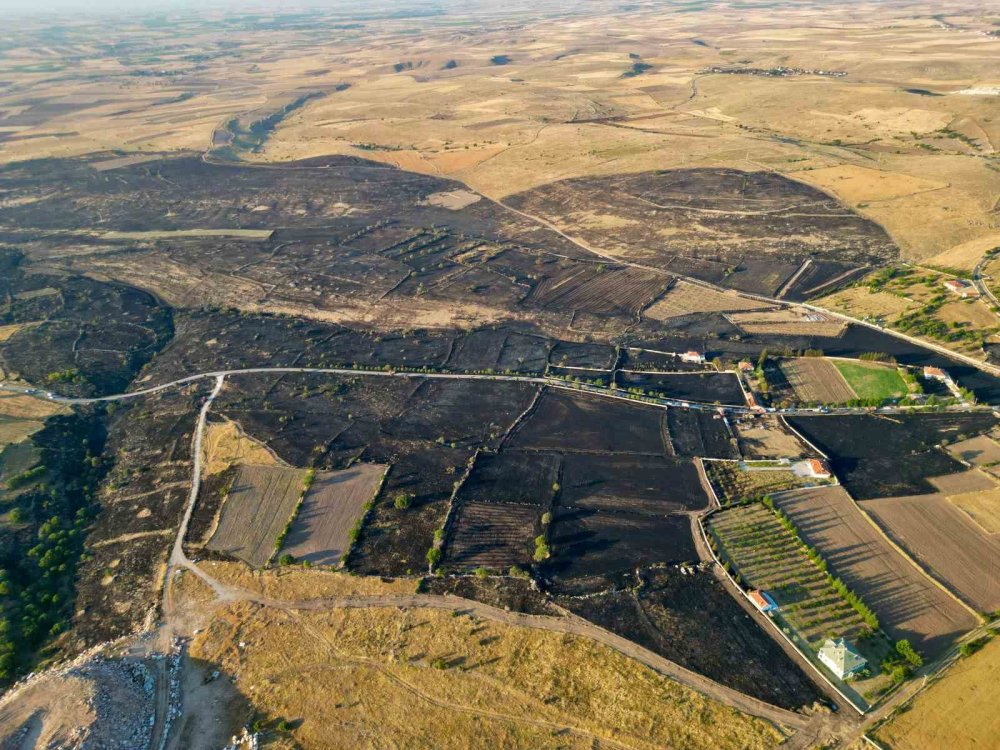 Afyon'da jandarmanın dikkati faciayı önledi