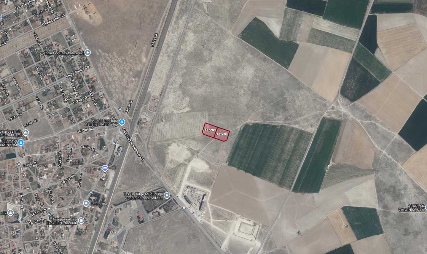 asagi-pinarbasi.jpg
