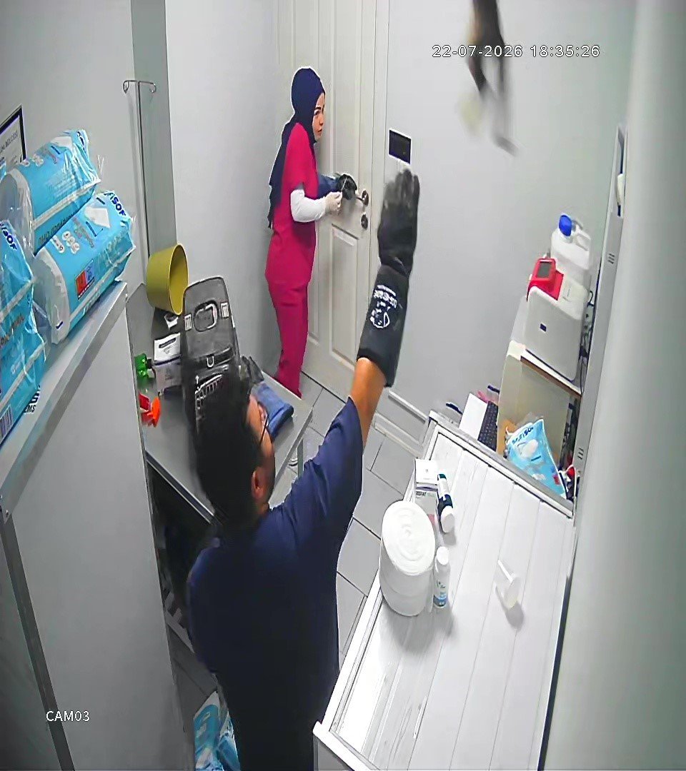 Veterinerde deprem etkisi yapan kedi Türkiye’nin gündeminde