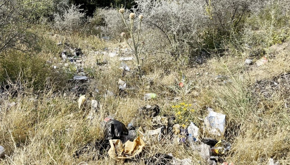 Konteyner boş, etrafı çöp dolu! Prof. Dr. Gökoğlu’ndan sert tepki