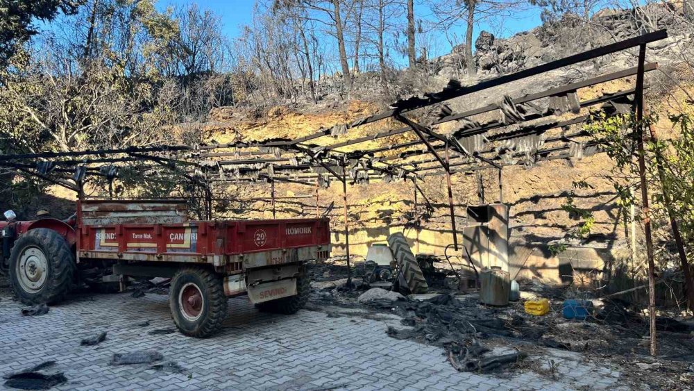 Alanya'da Orman ve Muz Seraları Kül Oldu