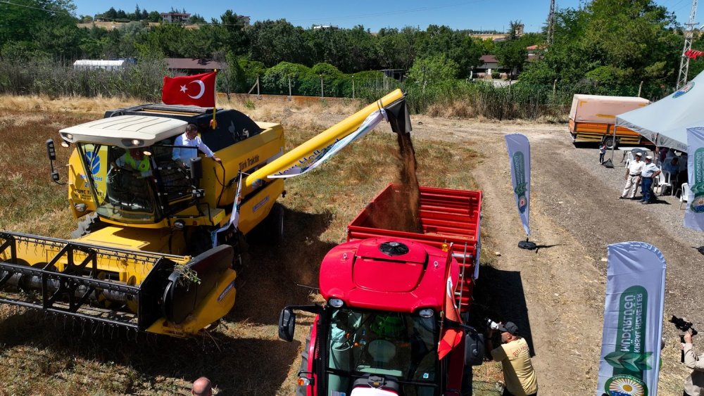 Ankara'da hasat zamanı... İlçe yeni ürüne destek bekliyor
