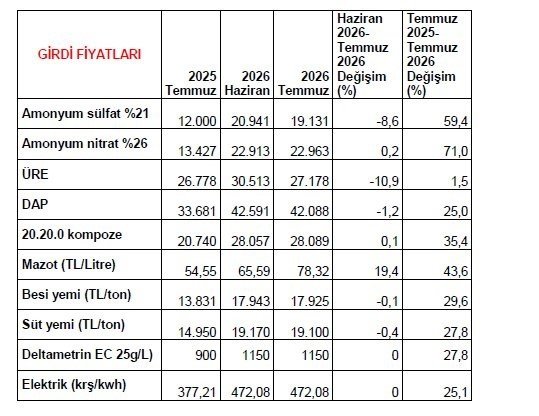 Havuç üreticiyi değil satıcıyı zengin etti! Aradaki fark yüzde 461