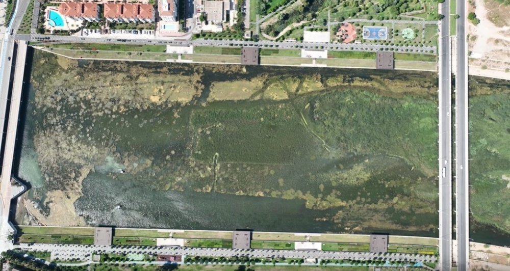 Antalya'da mücadele yengeçle yapılıyor