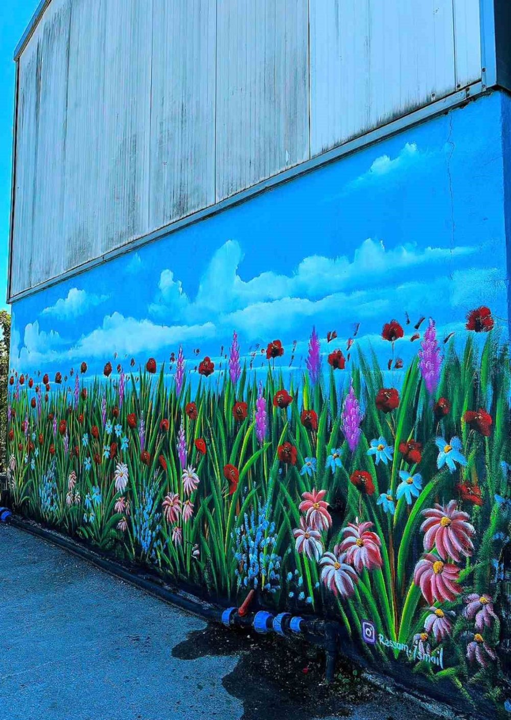 Kocaeli’nin Bob Ross’u sokakları sanat galerisine dönüştürdü