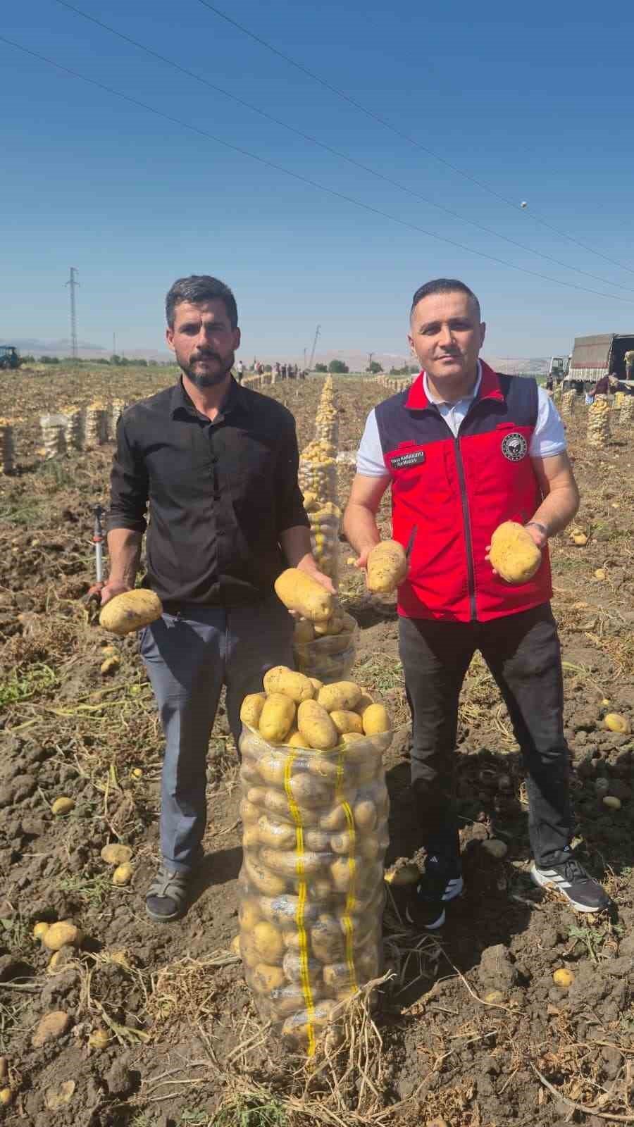 Patates Tüccarları Sıraya Girdi: Geçen Yıl Zarar Eden Çiftçi Bu Sezon Nefes Aldı