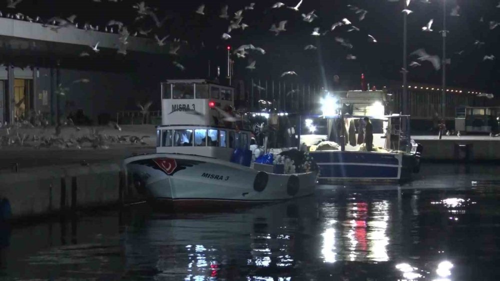 Balıkçılar "Vira Bismillah" Dedi, Sezonun İlk Müjdesi Geldi