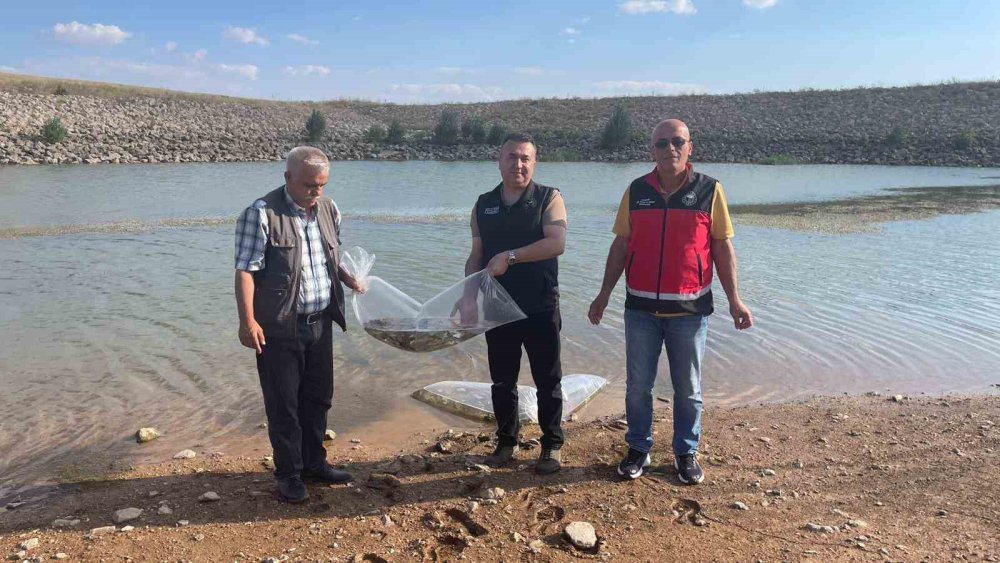 Beyşehir ve Hüyük Göletlerine 60 Bin Yavru Sazan