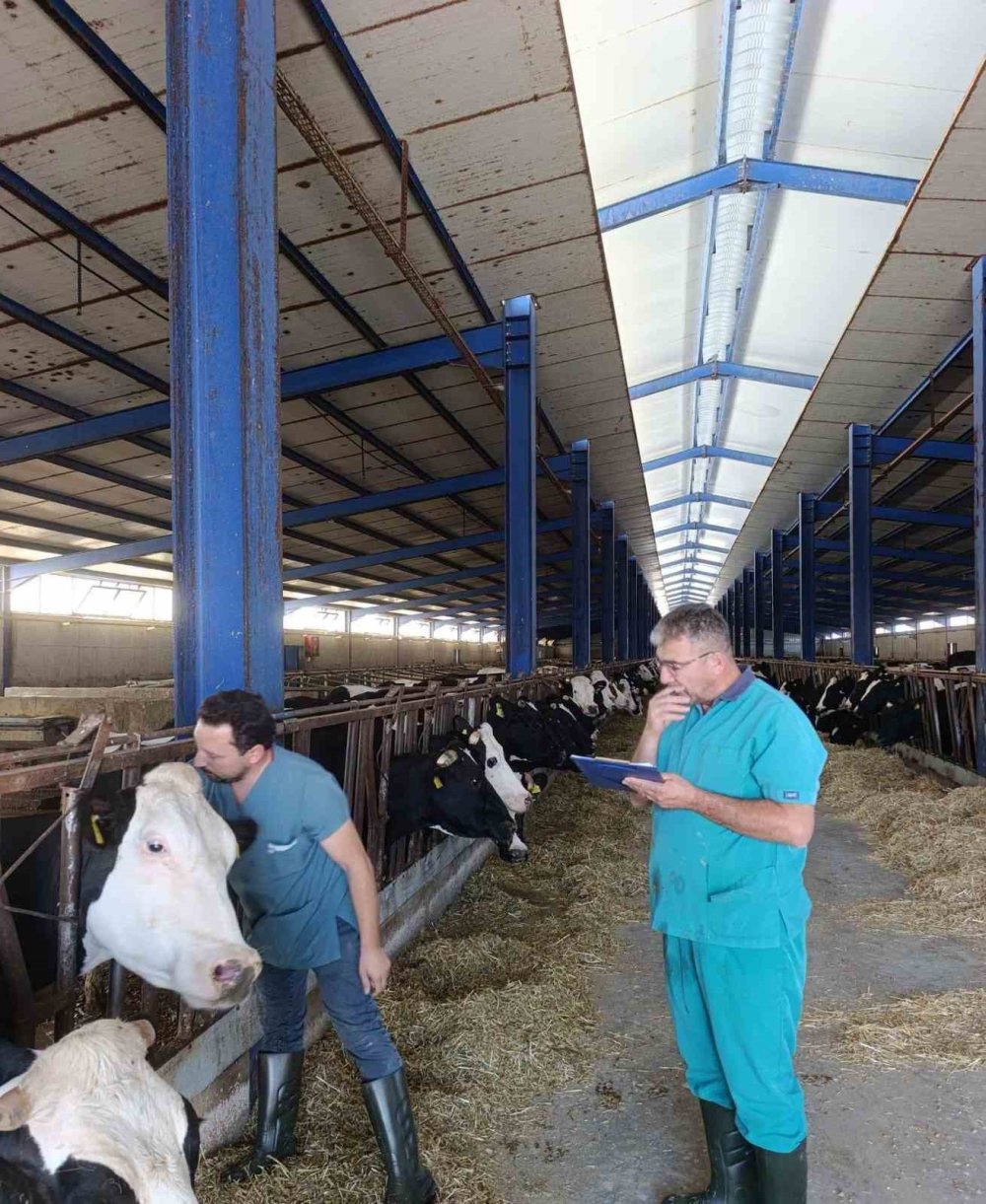 Güvenilir Hayvansal Üretim İçin Sıkı Denetim