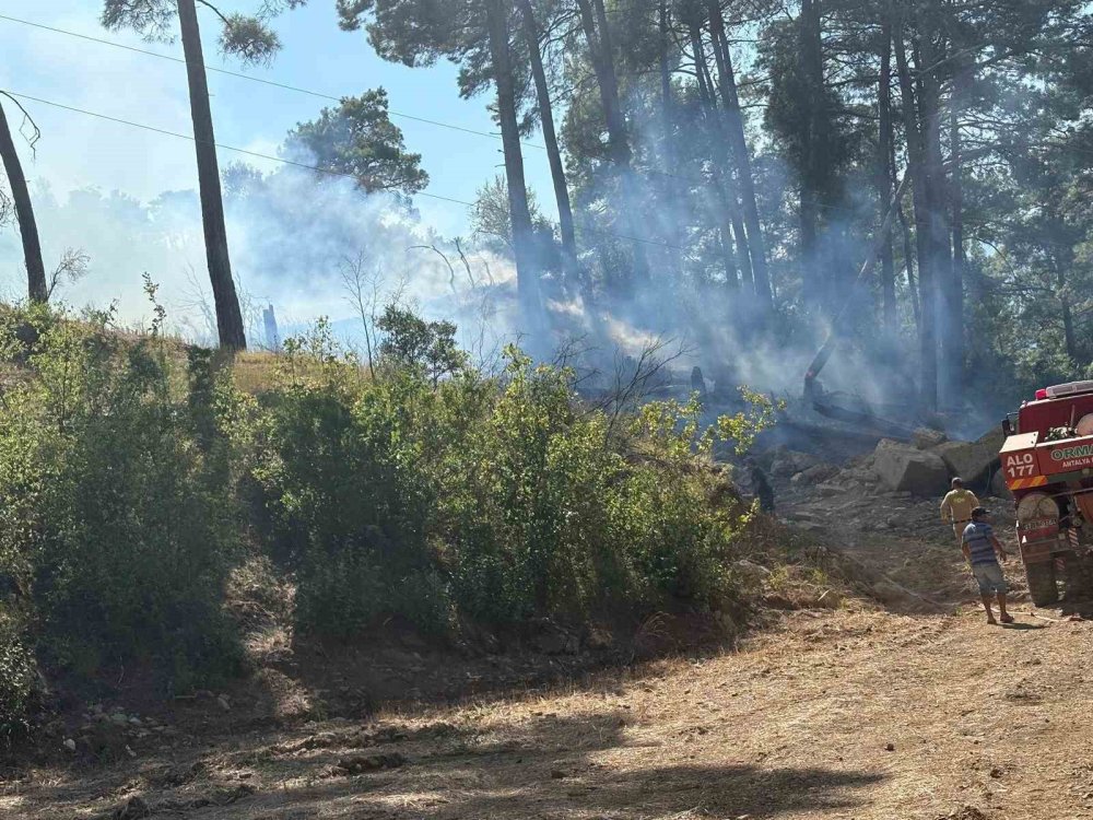 Kopan enerji nakil hattı orman yangınına neden oldu