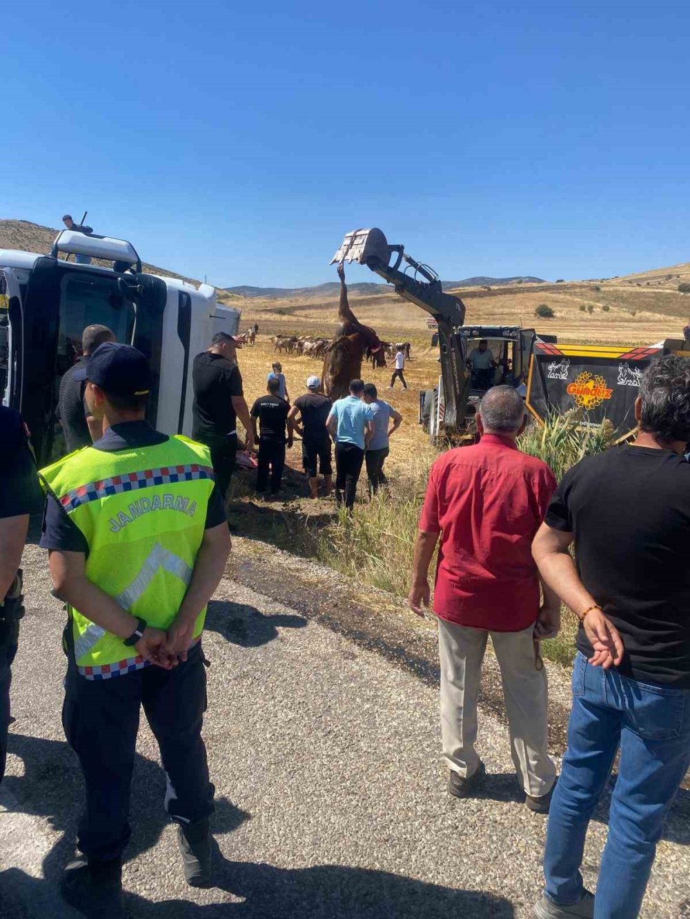 Kırşehir'de Hayvan Yüklü Tır Devrildi