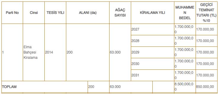 konya-elma-krali.jpg