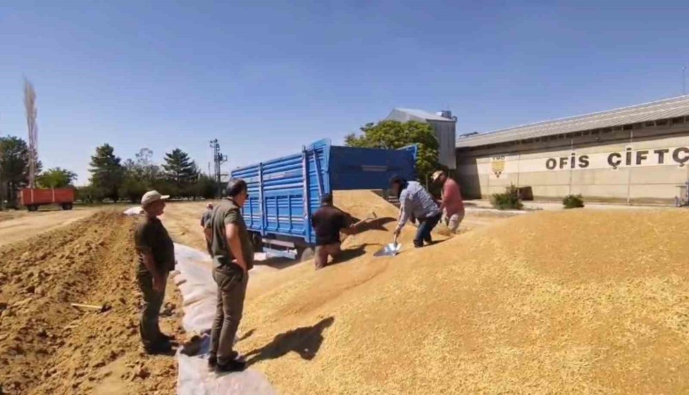 TMO Konya’da Rekora Koştu: Tarladan Depoya Dev Operasyon!