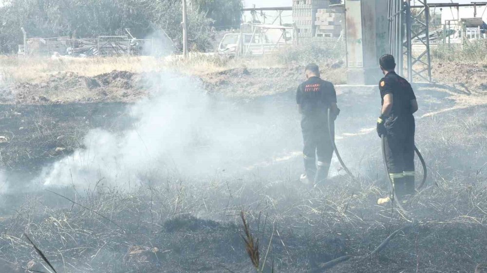 Kurumuş otlar tutuştu, bir dönüm alan kül oldu