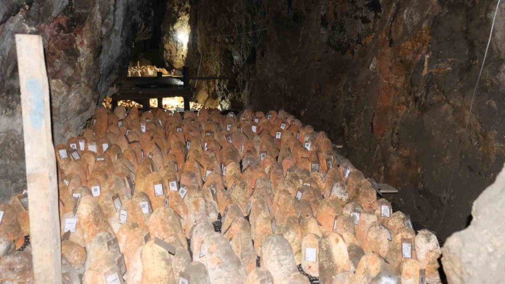 Divle obruk peyniri: Mağaraya beyaz giriyor, kırmızı çıkıyor
