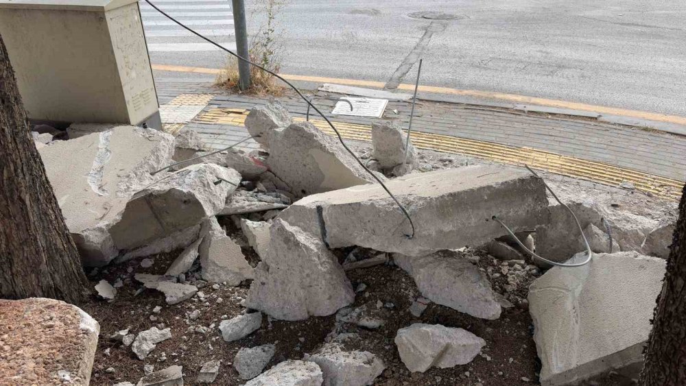 Ankara’da Ağaç Kesim Krizine Vatandaş Tepkisi