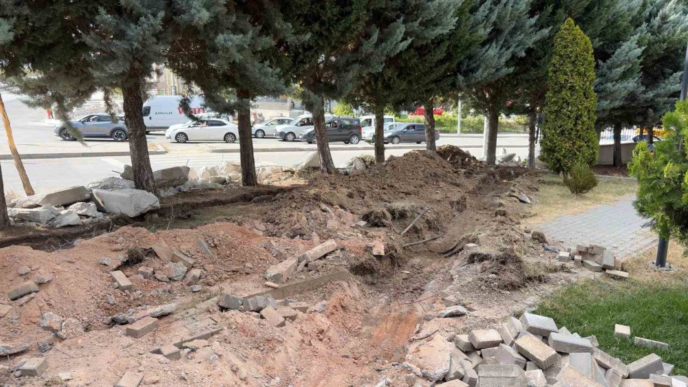 Ankara’da Ağaç Kesim Krizine Vatandaş Tepkisi